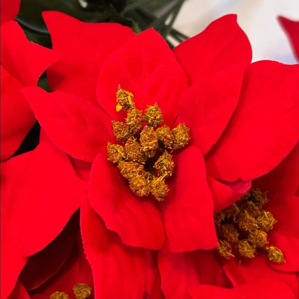 Red Poinsettia Artificial Floral Stems Holiday Bouquet RED POINSETTIAS SET OF 6